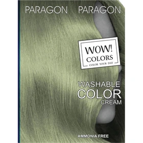 شامپو رنگ فانتزی Smoky Silver 121 پاراگون Paragon